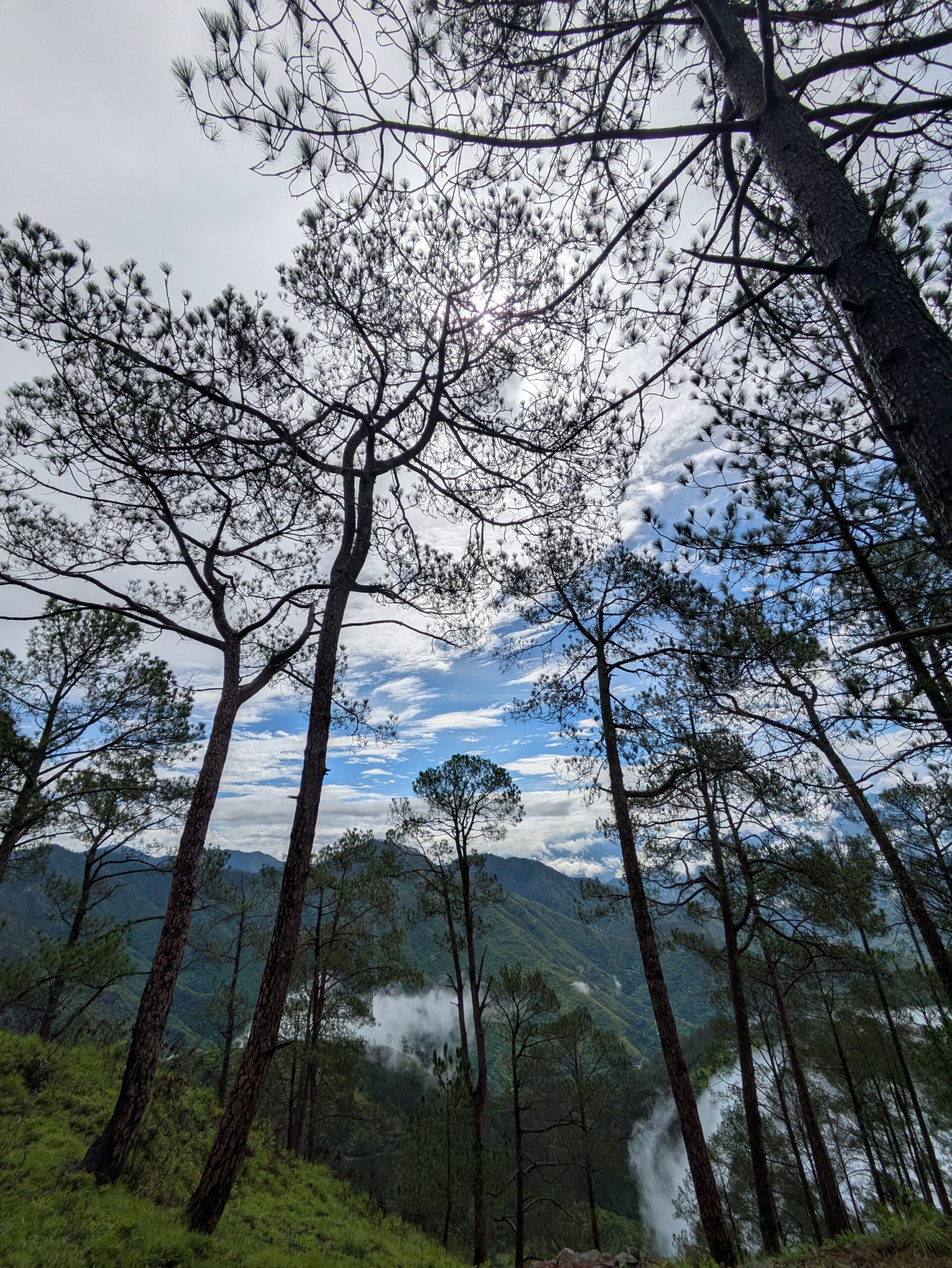 PXL 20250713 042045368.MP Scaled